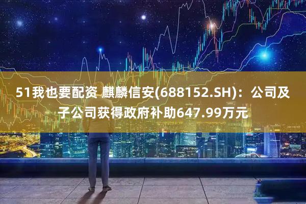 51我也要配资 麒麟信安(688152.SH)：公司及子公司获得政府补助647.99万元