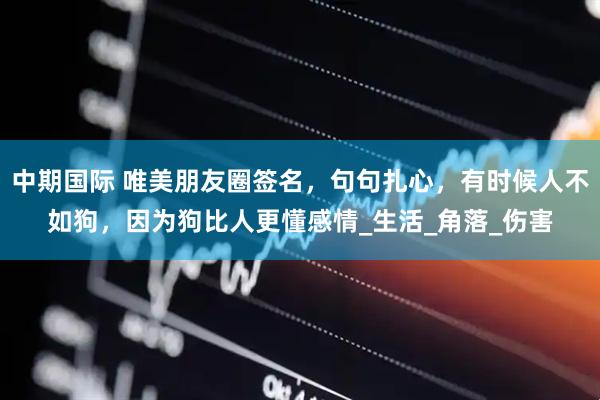 中期国际 唯美朋友圈签名，句句扎心，有时候人不如狗，因为狗比人更懂感情_生活_角落_伤害