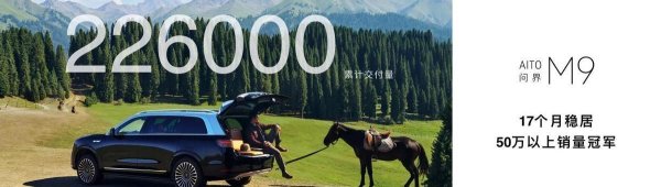 广源优配 问界M9常用常新持续进化，累计交付量突破22万