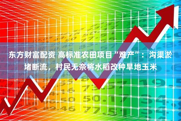东方财富配资 高标准农田项目“难产”：沟渠淤堵断流，村民无奈将水稻改种旱地玉米